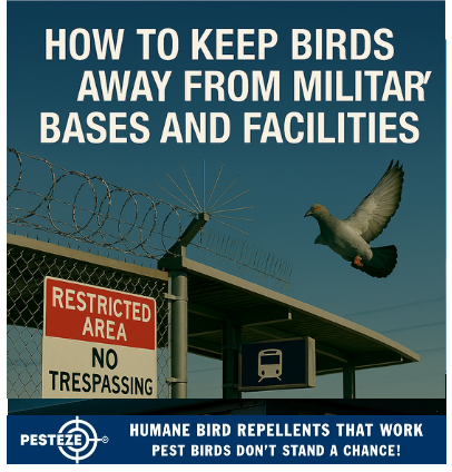 HOW TO KEEP BIRDS AWAY FROM MILITARY BASES AND FACILITIES