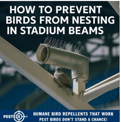 HOW TO PREVENT BIRDS FROM NESTING IN STADIUM BEAMS