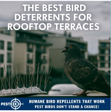 THE BEST BIRD DETERRENTS FOR ROOFTOP TERRACES