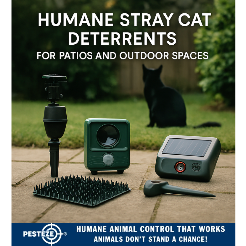 HUMANE STRAY CAT DETERRENTS FOR PATIOS AND OUTDOOR SPACES