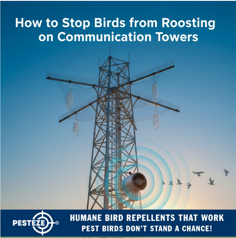 HOW TO STOP BIRDS FROM ROOSTING ON COMMUNICATION TOWERS