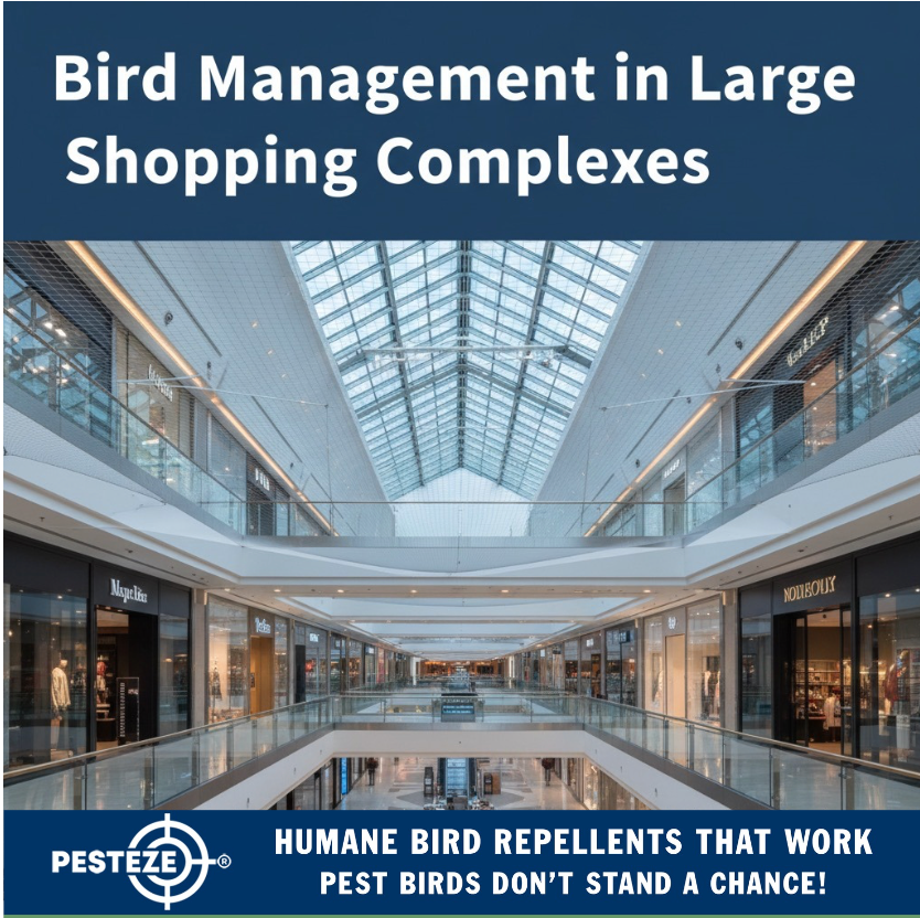 BIRD MANAGEMENT IN LARGE SHOPPING COMPLEXES