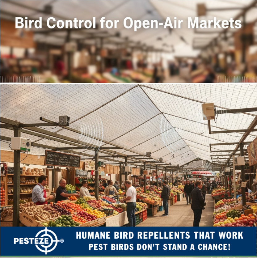BIRD CONTROL FOR OPEN-AIR MARKETS