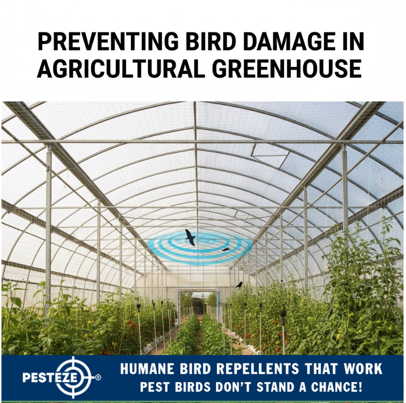 PREVENTING BIRD DAMAGE IN AGRICULTURAL GREENHOUSES