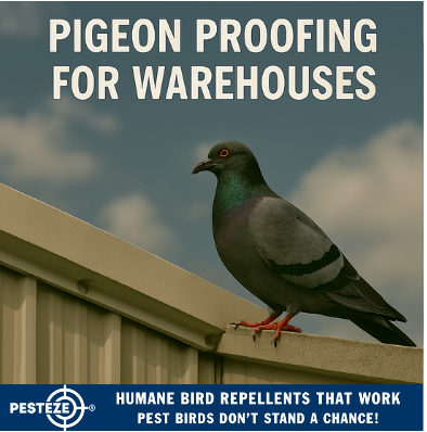 PIGEON PROOFING FOR WAREHOUSES