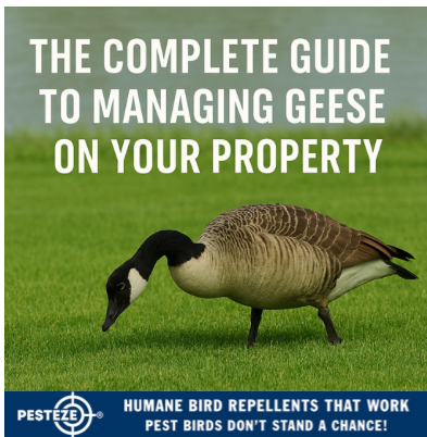 THE COMPLETE GUIDE TO MANAGING GEESE ON YOUR PROPERTY