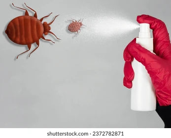 HOW TO DETER BED BUGS FROM HOME