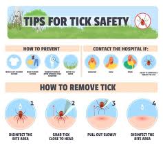 HOW TO DETER TICKS FROM LAWNS