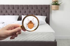 HOW TO DETER BED BUGS FROM BEDDING AND FURNITURE