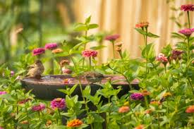 HOW TO DETER BIRDS FROM SPLASHING IN BIRD BATHS: KEEPING YOUR GARDEN TIDY