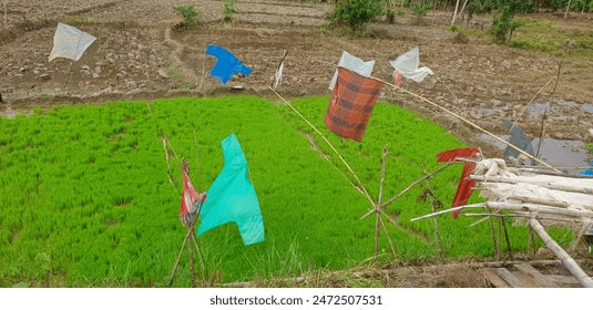 EFFECTIVE BIRD DETERRENTS FOR RURAL PROPERTIES: PROTECT YOUR LANDSCAPE AND CROPS!