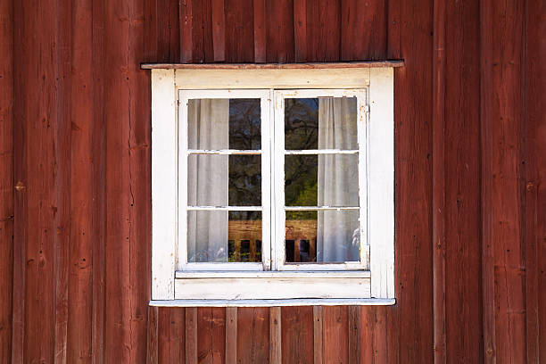 KEEP BIRDS SAFE WITH SIMPLE SOLUTIONS TO PREVENT WINDOW COLLISIONS!