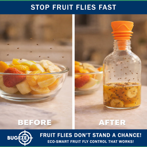 Fruit Flies