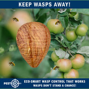 PESTEZE® USA 2 Pack Hanging Wasp Nest Decoy [11.8 x 8.6 Inch]—Faux Wasp, Hornet and Yellow Jacket Deterrent for Outdoor Spaces. Simulated Rival Hives Help Prevent New Nests Without any Harsh Chemicals
