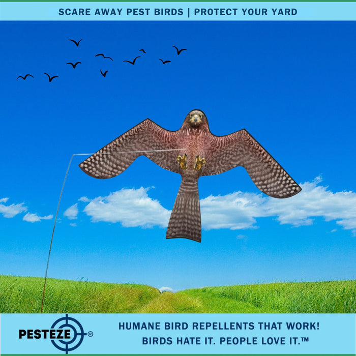 PESTEZE® Flying Hawk 46 x 26 Inch Kite Bird Scarer with 13 ft Flagpole. Use in Yards & Farms to Protect Vegetables, Fruits, Crops & Buildings from Pest Birds & Critters without Harming them