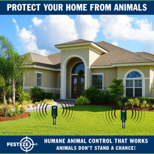 PESTEZE® Battery Bird Sound Repeller. Detects & Deters Pest Birds with Predator Sounds without Harming them to Protect Property. Use to Repel Woodpeckers, Pigeons, Crows, Ducks, Geese & Critters