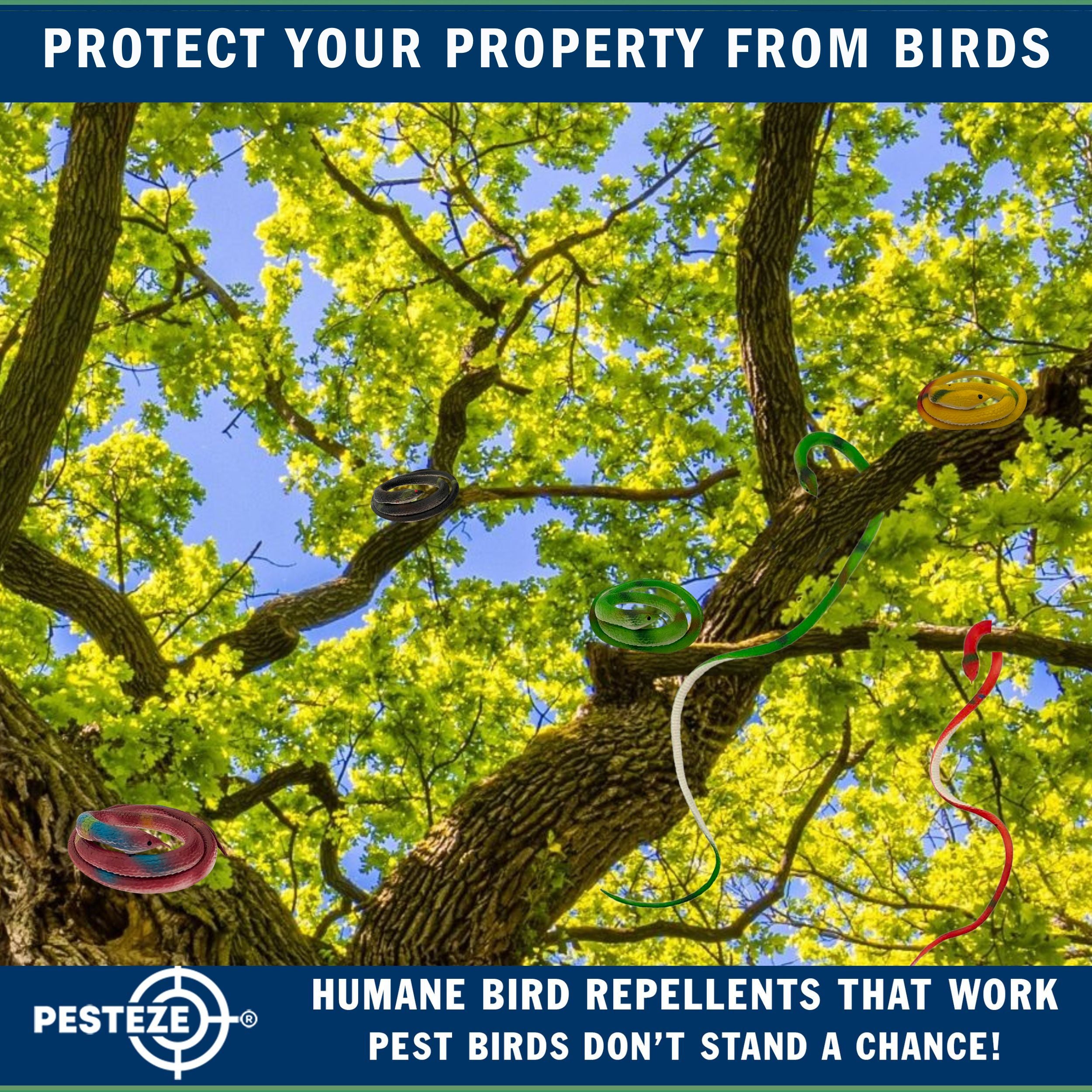 PESTEZE® Variety 27 Inch Realistic Rubber Snakes [5 Pack] Scares Pest Bids like Woodpeckers, Sparrows, Pigeons, Crows, Gulls & Critters without Harming them to Protect Property