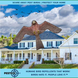 PESTEZE® Flying Hawk 46 x 26 Inch Kite Bird Scarer with 13 ft Flagpole. Use in Yards & Farms to Protect Vegetables, Fruits, Crops & Buildings from Pest Birds & Critters without Harming them