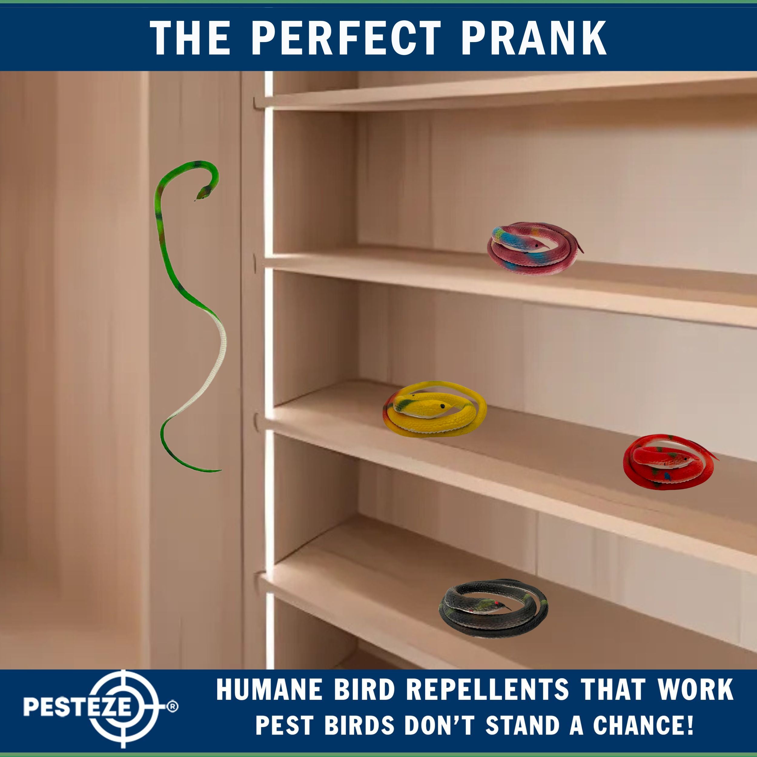 PESTEZE® Variety 27 Inch Realistic Rubber Snakes [5 Pack] Scares Pest Bids like Woodpeckers, Sparrows, Pigeons, Crows, Gulls & Critters without Harming them to Protect Property