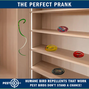 PESTEZE® Variety 27 Inch Realistic Rubber Snakes [5 Pack] Scares Pest Bids like Woodpeckers, Sparrows, Pigeons, Crows, Gulls & Critters without Harming them to Protect Property