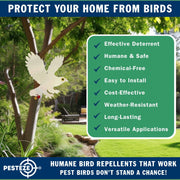 PESTEZE® USA Owl Bird Repellent Holographic Decoy with 2 Bells [12.5 × 16 in] Uses Reflective Shine and Sound to Deter Woodpeckers, Pigeons, Crows, Ducks, Geese & Outdoor Pests Safely Around Your Home