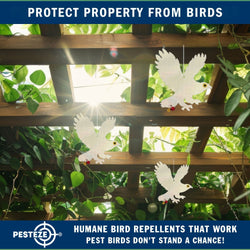 PESTEZE® Shiny Holographic Owl Bird Repellent with 2 Bells [12.5 x 16 inch] Sound & Reflection Deters Woodpeckers, Pigeons, Crows, Ducks, Geese & Critters from Yards without Harming them to Protect Property