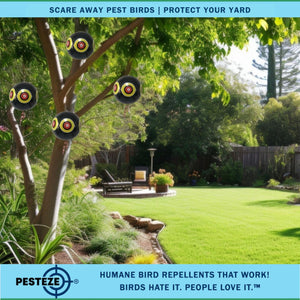 PESTEZE® Large 15" Black Bird Scare-Eye Balloon Decoy [1 Pack]  Deters Unwanted Pest Birds like Pigeons, Gulls, Geese & Critters from Pools & Yards Without Harming Them To Protect Property