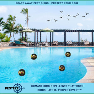 PESTEZE® Large 15" Black Bird Scare-Eye Balloon Decoy [1 Pack]  Deters Unwanted Pest Birds like Pigeons, Gulls, Geese & Critters from Pools & Yards Without Harming Them To Protect Property