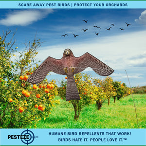 PESTEZE® Flying Hawk 46 x 26 Inch Kite Bird Scarer with 13 ft Flagpole. Use in Yards & Farms to Protect Vegetables, Fruits, Crops & Buildings from Pest Birds & Critters without Harming them