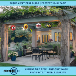 PESTEZE® Large 15" Yellow, Red, White & Black Bird Predator-Eye Balloon Deterrents [4 Pack Multi-Color] Repels Unwanted Pest Birds like Pigeons, Gulls, Geese & Critters from Pools & Yards Without Harming Them To Protect Property