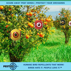 PESTEZE® Large 15" Yellow, Red, White & Black Bird Predator-Eye Balloon Deterrents [4 Pack Multi-Color] Repels Unwanted Pest Birds like Pigeons, Gulls, Geese & Critters from Pools & Yards Without Harming Them To Protect Property