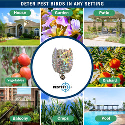 4 Pack PESTEZE® Holographic Shiny Owl Bird Repellents with Bell [3.5 x 5 inch] Reflection Scares Pest Birds like Woodpeckers, Sparrows, Pigeons, Crows & Gulls without Harming them to Protect Property