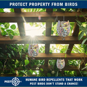 PESTEZE® USA Owl Bird Deterrent Reflective Hanging Decoy Repellent with Bell, [3 Pack, 3.5 x 5 inch] Shiny Scare Device Keep Birds Away Outdoor Porch Garden Yard Patio Protect Property
