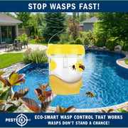 PESTEZE® USA Reusable Solar Hanging Wasp Trap with LED Light [Yellow: 3.5 x 4.4 Inch] Attracts, & Kills Wasp, Hornet, Yellow Jacket & Insect Species 24/7 Without Harsh Chemicals Waterproof Outdoor Trap