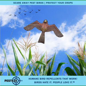 PESTEZE® Flying Hawk 46 x 26 Inch Kite Bird Scarer with 13 ft Flagpole. Use in Yards & Farms to Protect Vegetables, Fruits, Crops & Buildings from Pest Birds & Critters without Harming them