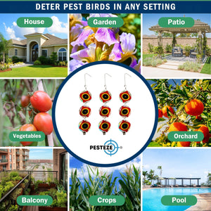 3 Pack PESTEZE® Set of 3 Holographic Shiny Circles with Scare Eyes & Bell [3 x 15 inch] Reflection Scares Pest Birds like Woodpeckers, Sparrows, Pigeons, Crows, Gulls & Critters without Harming them