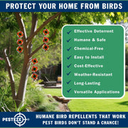 PESTEZE® USA Bird Deterrent Discs 3 Pack–Holographic Reflective Circles with Predator Eyes & Bell to Scare Birds Away–Humane Repellent Keeps Birds, Pigeons, Crows & Sparrows from Gardens, Trees, Patios