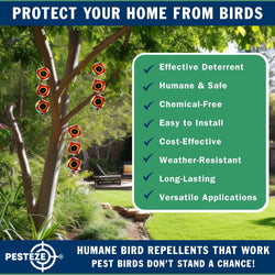 3 Pack PESTEZE® Set of 3 Holographic Shiny Circles with Predator Eyes & Bell [3 x 15 inch] Reflection Scares Pest Birds like Woodpeckers, Sparrows, Pigeons, Crows, Gulls & Critters without Harming them