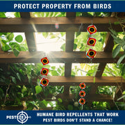 PESTEZE® USA Bird Deterrent Discs 3 Pack–Holographic Reflective Circles with Predator Eyes & Bell to Scare Birds Away–Humane Repellent Keeps Birds, Pigeons, Crows & Sparrows from Gardens, Trees, Patios
