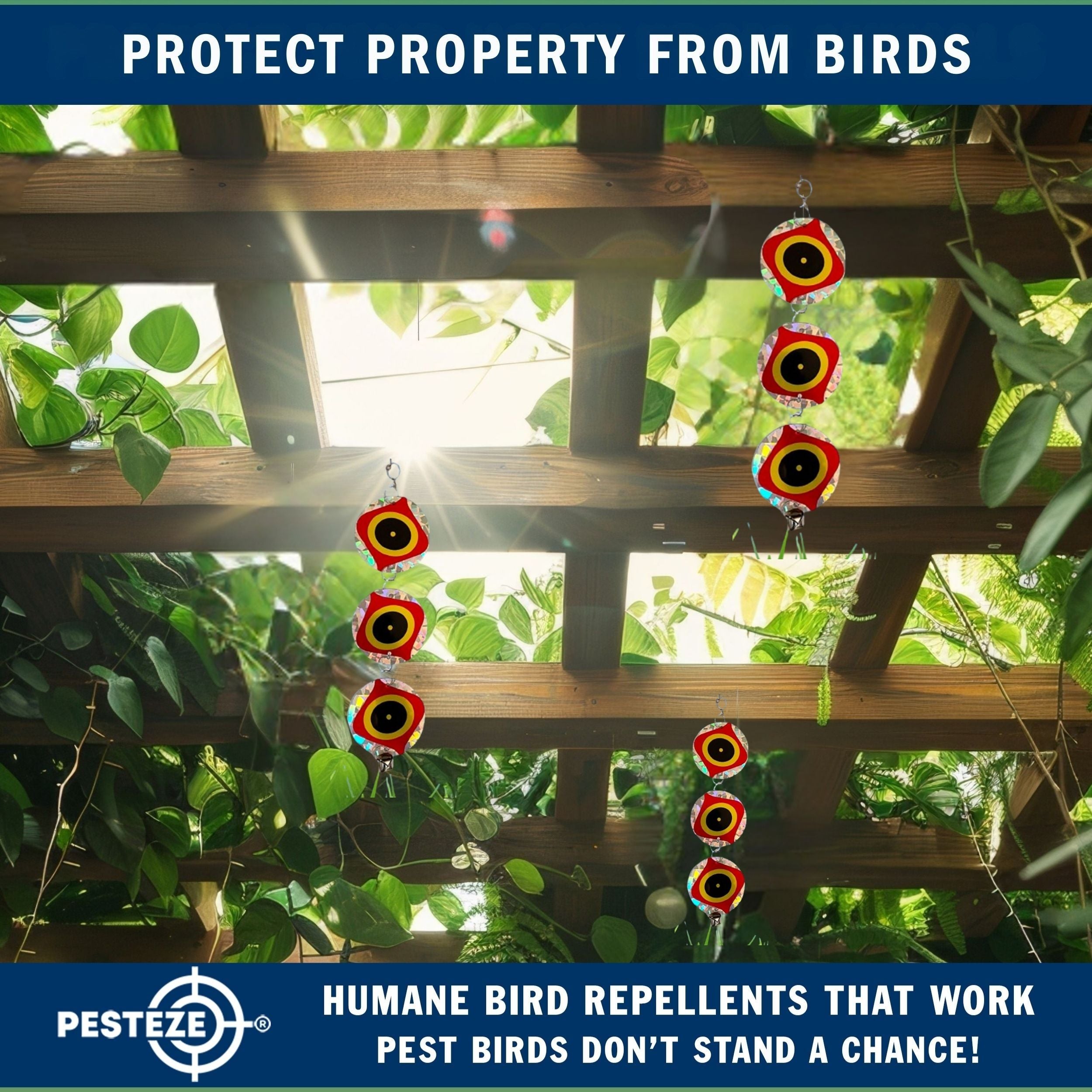 3 Pack PESTEZE® Set of 3 Holographic Shiny Circles with Predator Eyes & Bell [3 x 15 inch] Reflection Scares Pest Birds like Woodpeckers, Sparrows, Pigeons, Crows, Gulls & Critters without Harming them