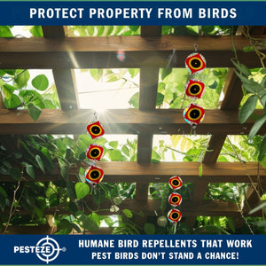 3 Pack PESTEZE® Set of 3 Holographic Shiny Circles with Scare Eyes & Bell [3 x 15 inch] Reflection Scares Pest Birds like Woodpeckers, Sparrows, Pigeons, Crows, Gulls & Critters without Harming them