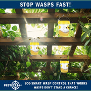 PESTEZE® USA Reusable Solar Hanging Wasp Trap with LED Light [Yellow: 3.5 x 4.4 Inch] Attracts, & Kills Wasp, Hornet, Yellow Jacket & Insect Species 24/7 Without Harsh Chemicals Waterproof Outdoor Trap