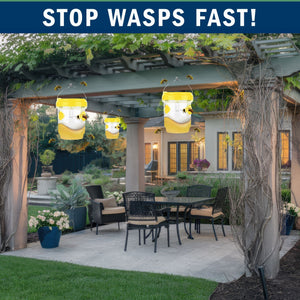2 Pack PESTEZE® Reusable Solar Hanging Wasp Trap with LED Light [Yellow: 3.5 X 4.4 Inch] Attracts, Catches & Kills Wasp, Hornet, Yellow Jacket & Insect Species 24/7 without Harsh Chemicals. Waterproof