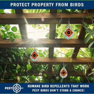 5 Pack PESTEZE® Shiny Scare Eye Water Droplet Repellents With Swivel & Hanger [3.25 x 5 inch] Reflection Scares Pest Birds like Woodpeckers, Sparrows, Pigeons, Crows & Gulls without Harming them to Protect Property