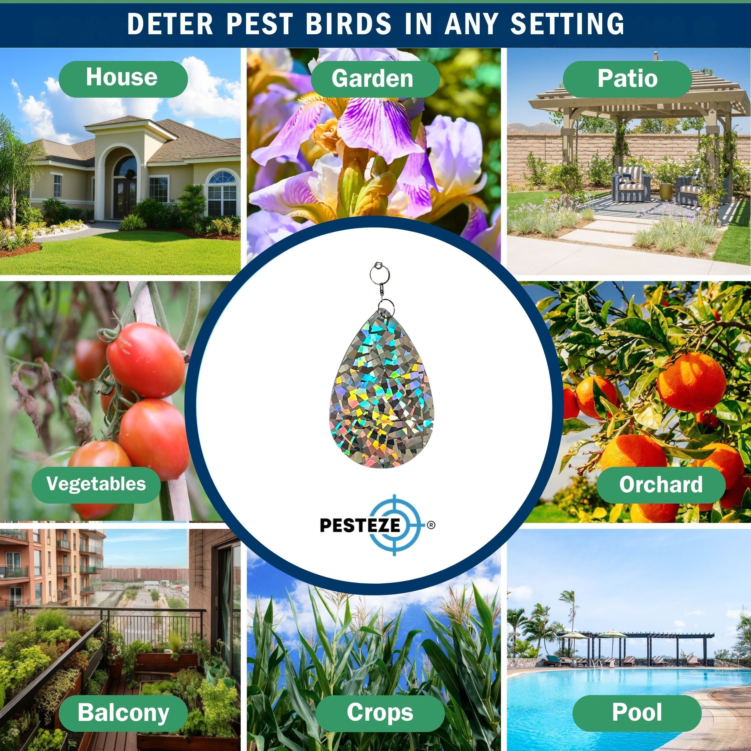 5 Pack PESTEZE® Shiny Water Droplet Repellents with Swivel & Hanger [3.25 x 5 inch] Reflection Scares Pest Birds like Woodpeckers, Sparrows, Pigeons, Crows & Gulls without Harming them to Protect Property