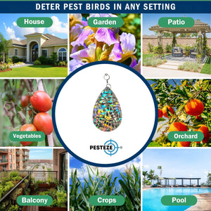 5 Pack PESTEZE® Shiny Water Droplet Repellents with Swivel & Hanger [3.25 x 5 inch] Reflection Scares Pest Birds like Woodpeckers, Sparrows, Pigeons, Crows & Gulls without Harming them to Protect Property