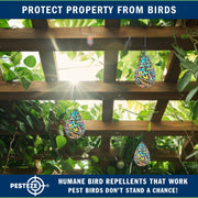PESTEZE® USA Shiny Water Droplet Repellents with Swivel & Hanger [10 Pack, 3.25 x 5 inch] Reflection Predators Pest Birds like Woodpeckers, Sparrows, Pigeons, Crows & Gulls without Harming them