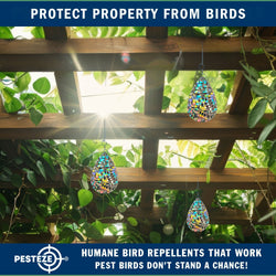 5 Pack PESTEZE® Shiny Water Droplet Repellents with Swivel & Hanger [3.25 x 5 inch] Reflection Scares Pest Birds like Woodpeckers, Sparrows, Pigeons, Crows & Gulls without Harming them to Protect Property