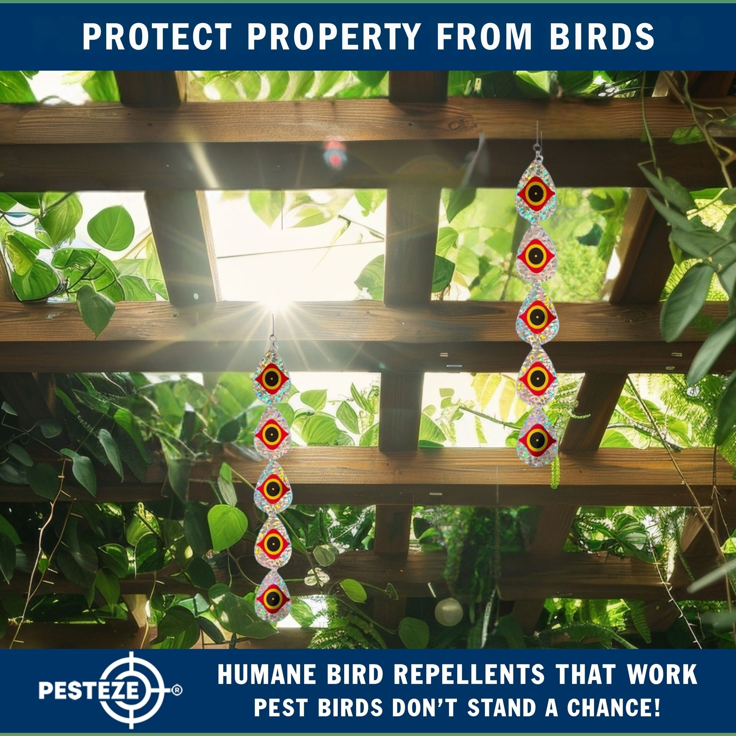 5 Piece PESTEZE® Shiny Water Droplet Repellents With Predator Eye [3.25 x 30 inch] Reflection Scares Pest Birds like Woodpeckers, Sparrows, Pigeons, Crows & Gulls without Harming them to Protect Property