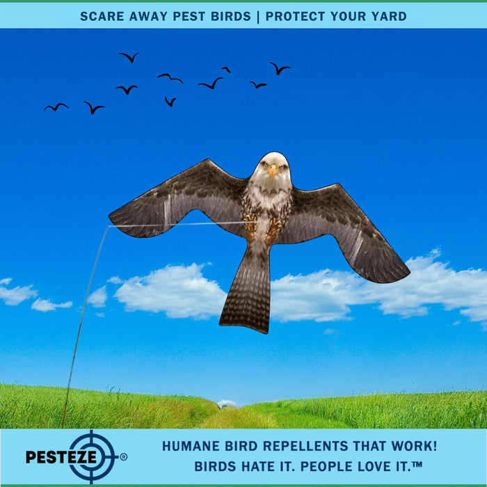 PESTEZE® Flying Eagle 46 x 26 Inch Kite Bird Deterrent with 13 ft Flagpole. Use in Yards & Farms to Protect Vegetables, Fruits & Crops from Pest Birds & Critters without Harming them